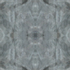 fortebkgd7281