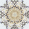 fortebkgd7317