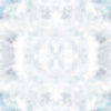 fortebkgd7453