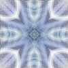 fortebkgd7479