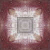 fortebkgd7504