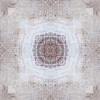 fortebkgd7505