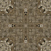 fortebkgd7520