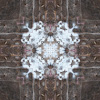 fortebkgd7582
