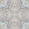 fortebkgd7732