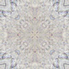 fortebkgd7738
