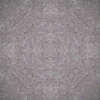 fortebkgd7750