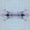 fortebkgd7923