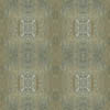 fortebkgd8450