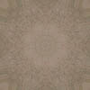 fortebkgd8470