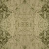 fortebkgd8920