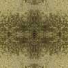 fortebkgd9136