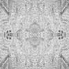 fortebkgd9152