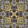 fortebkgd9180