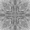 fortebkgd9188