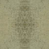 fortebkgd9237
