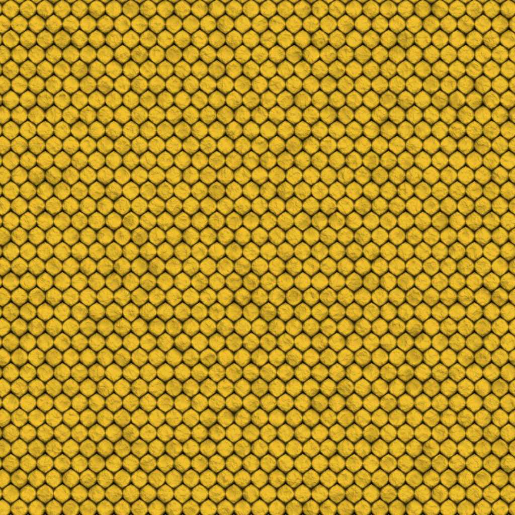 fortetexture257