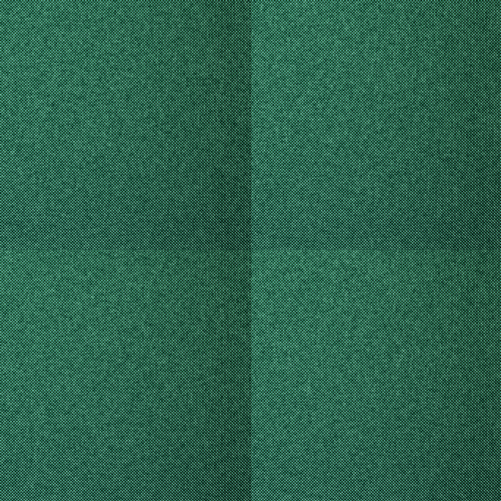 fortetexture342