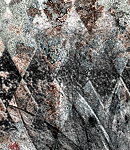 2018asylumtall150x130-552