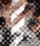 2019asylumtall150x130-094