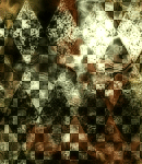 2019asylumtall150x130-138
