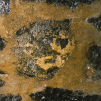 ofnoexistencetex540