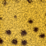 iezombietext150bkgd04