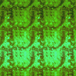 iezombietext150bkgd244
