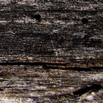 ofnoexistencetexturebg244