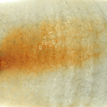 ofnoexistencetexturebg68