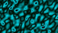 asylumkpt204x116-036