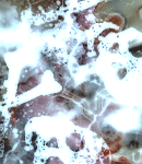 halloweenasylumtallbg-032