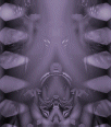 4te247