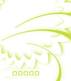 bg-forte-11