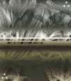bg-forte-29