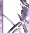 bg-forte-6