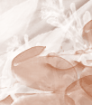 dfgxbg1037