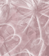 dfgxbg1044