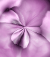dfgxbg1059