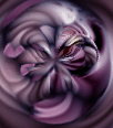 dfgxbg1071