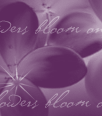 dfgxbg1090