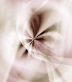 dfgxbg1120