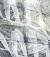 dfgxbg1127