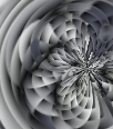 dfgxbg1128