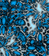 dfgxbg1168