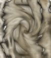 dfgxbg1180