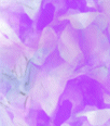dfgxbg1205