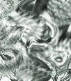 dfgxbg1254