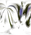 dfgxbg1269