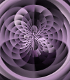 dfgxbg14